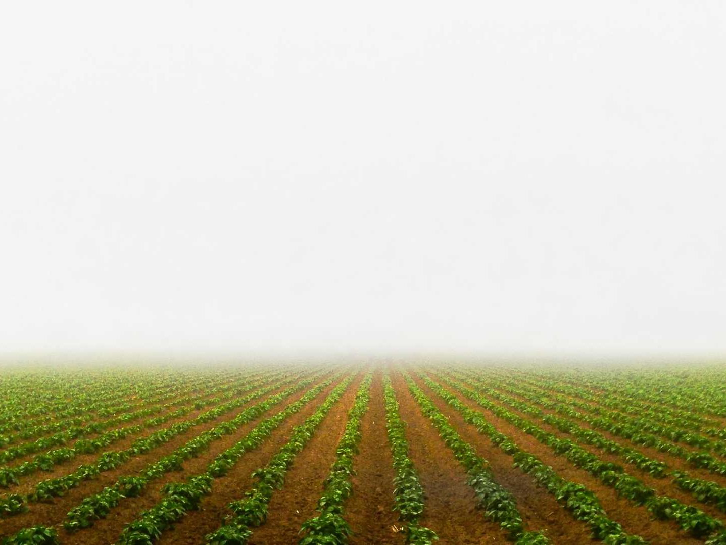 JCG AgriEnvironmental