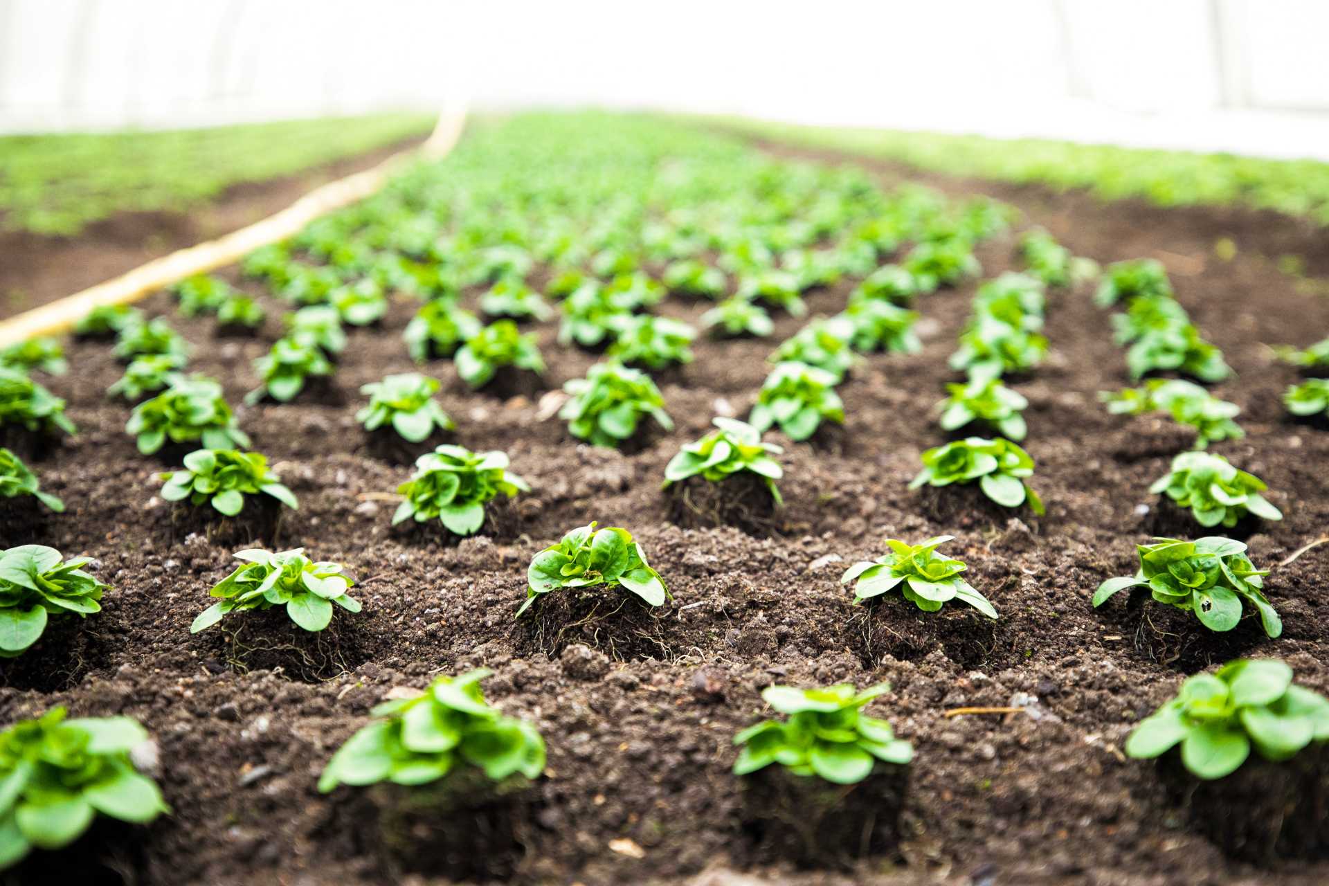 JCG AgriEnvironmental