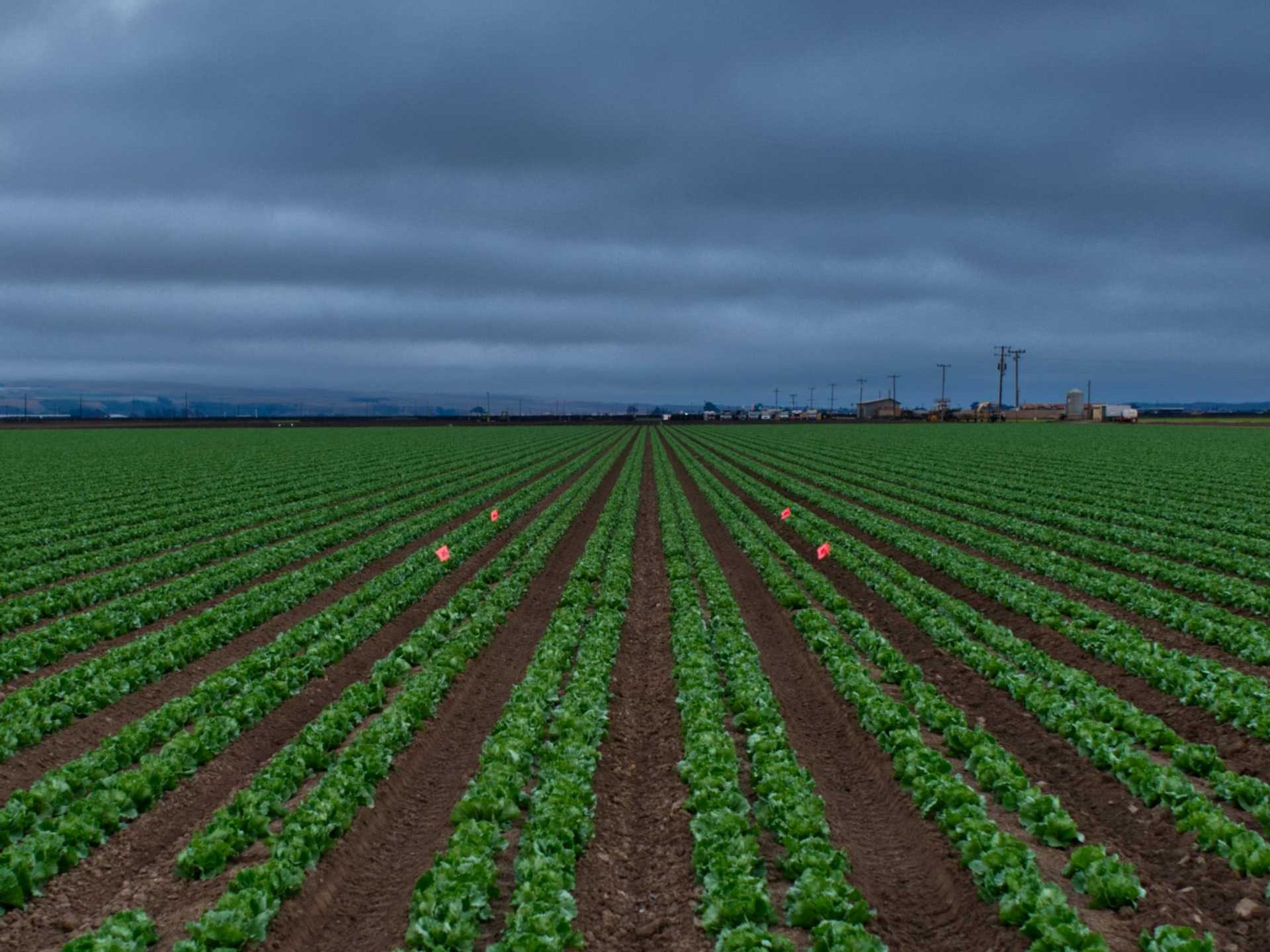 JCG AgriEnvironmental