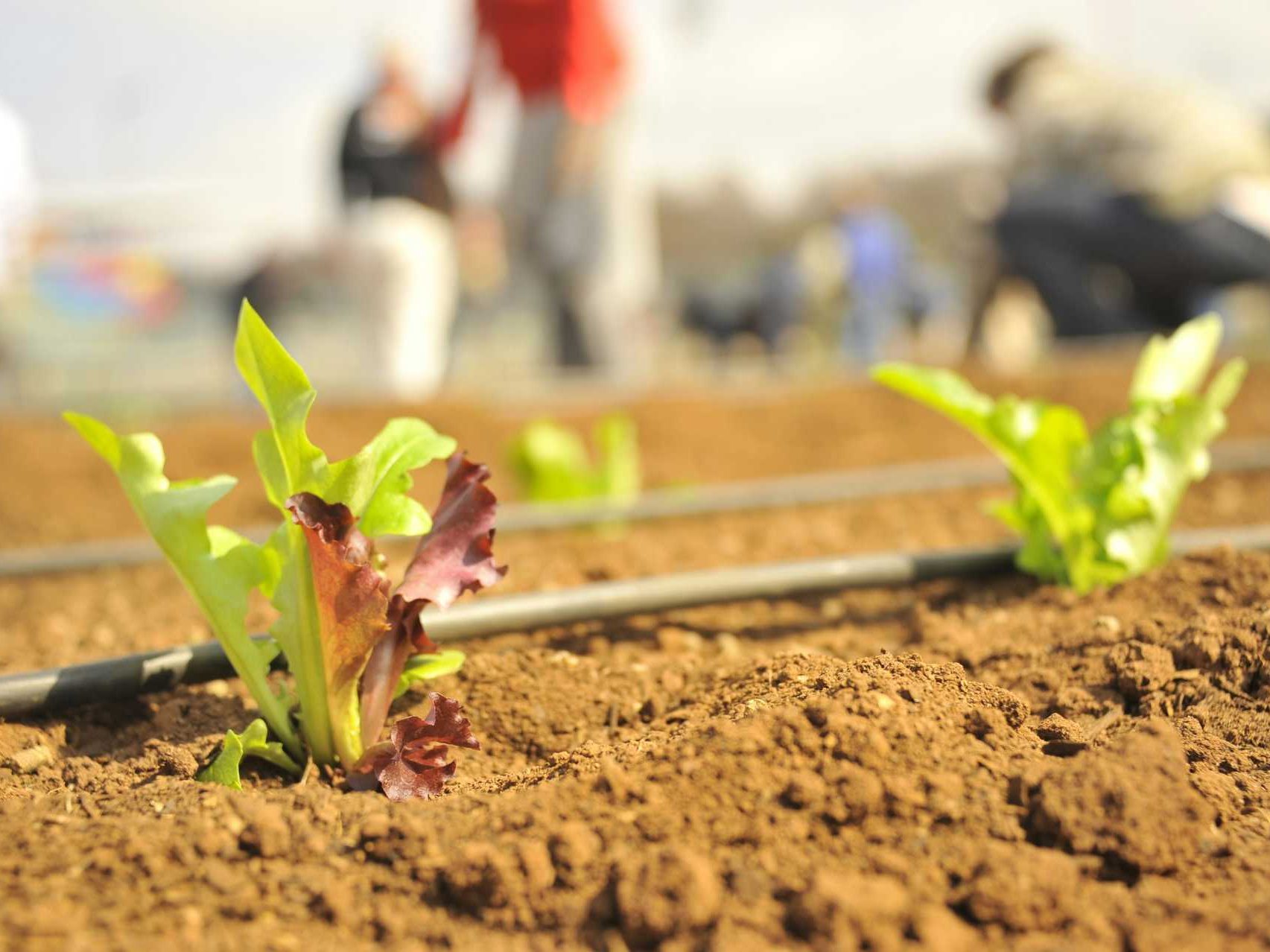 JCG AgriEnvironmental