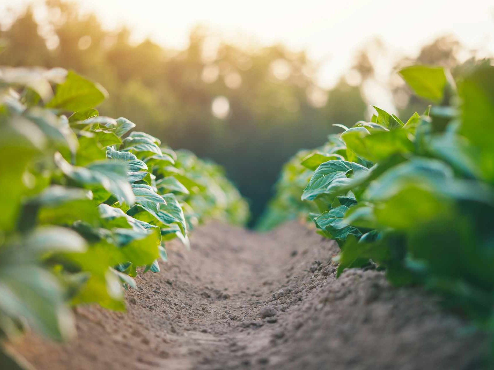 JCG AgriEnvironmental
