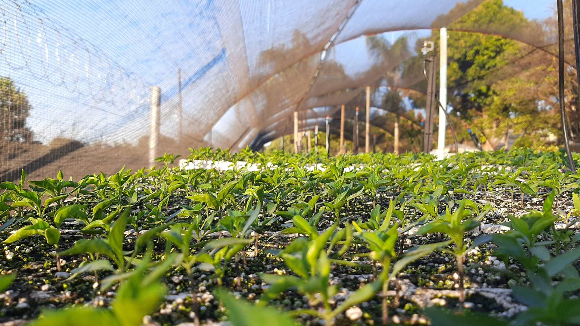 JCG AgriEnvironmental